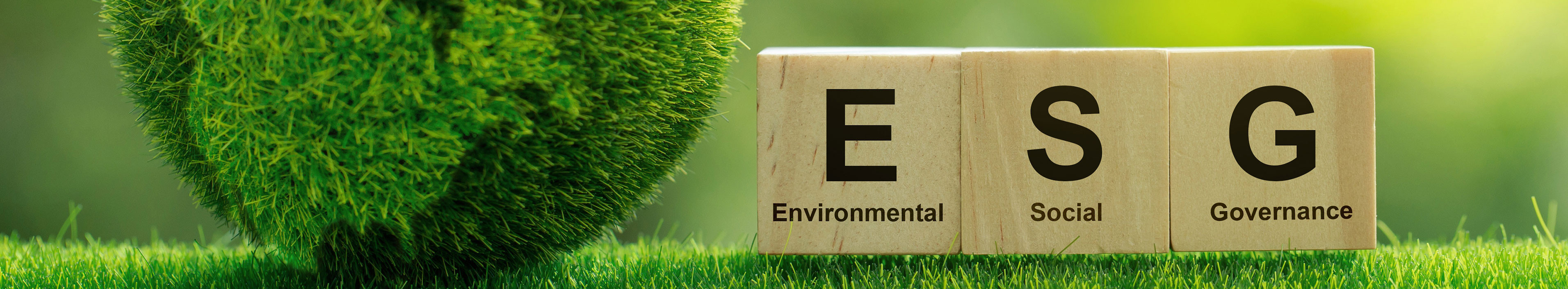 Environmental Social Governance (ESG)