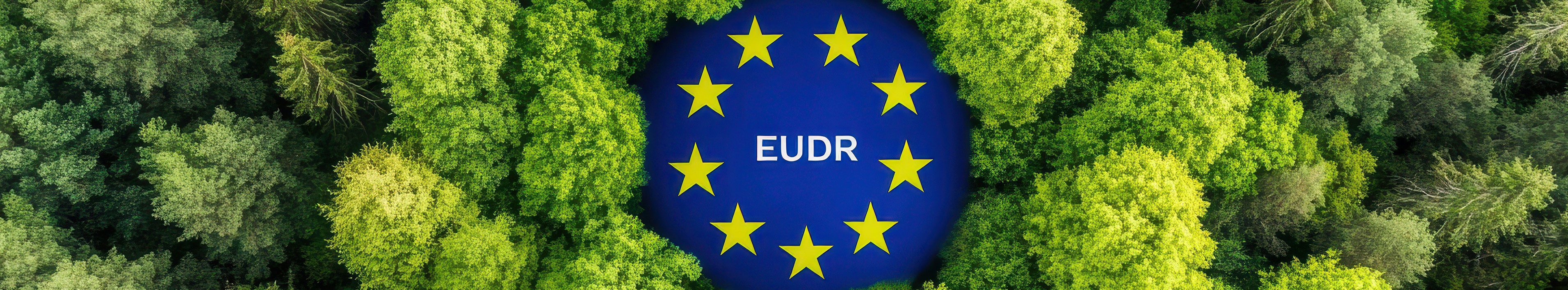 A picture collage shows a bird's eye view of a forest. Yellow stars symbolizing Europe are arranged in a blue circle in a clearing. In the center is “EUDR”, the abbreviation for EU Deforestation Regulation.