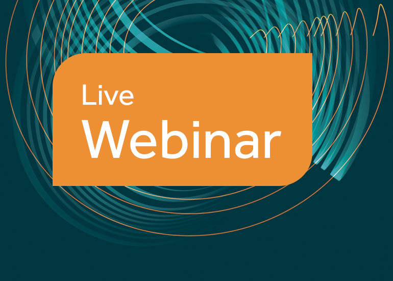 Transfer Pricing - Challenges, Tax Risks and Solutions in Germany for Multinational Enterprises